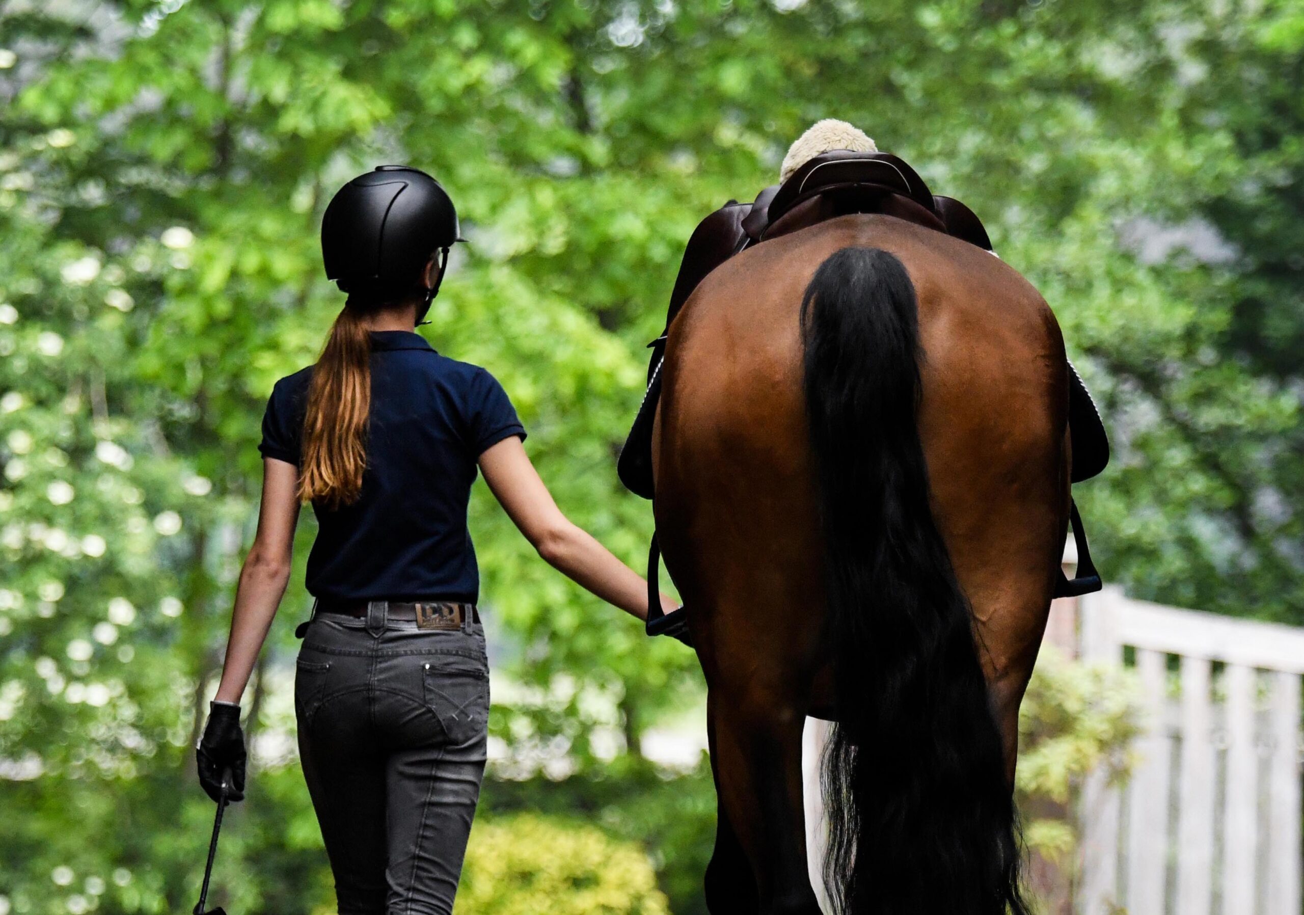 The back of the rider, walking towards the exit with her horse b