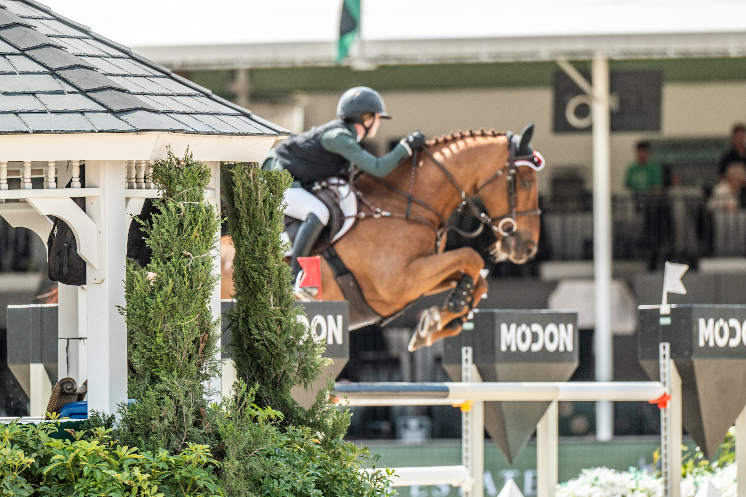 Olvia Sweetnam (USA)Cervantes