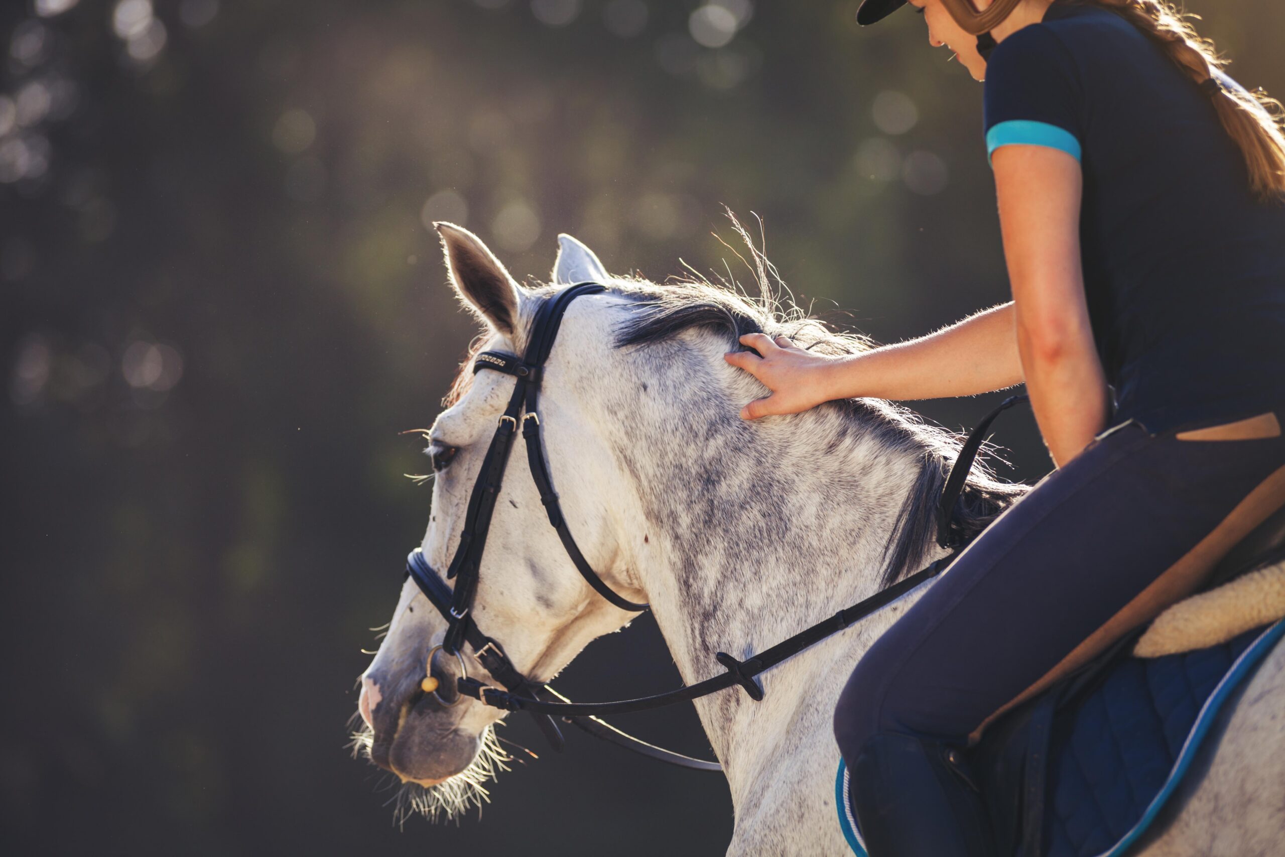 Woman riding a horse on paddock, horsewoman sport wear